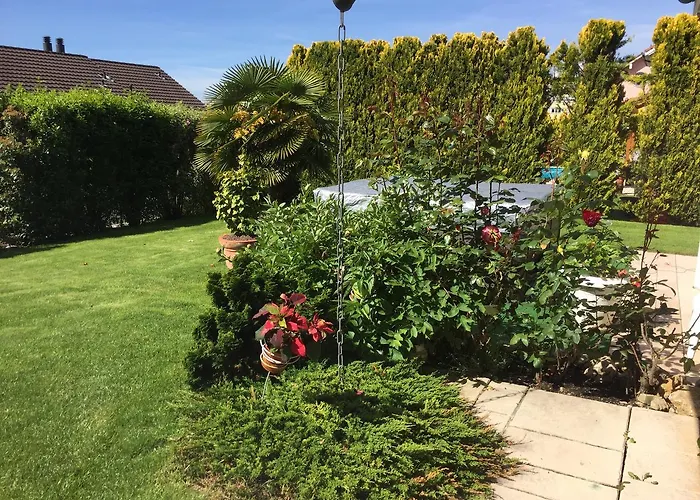 Bed & Breakfast D'hotes Wellingtonia