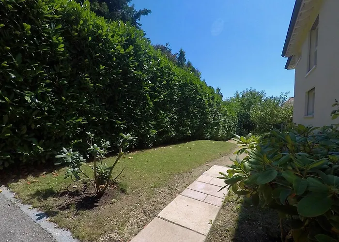 D'hotes Wellingtonia