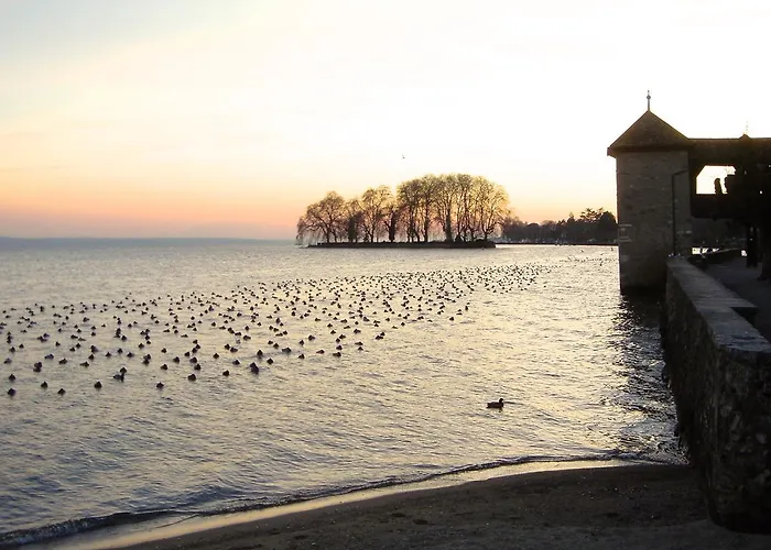 D'hotes Wellingtonia Bed & Breakfast