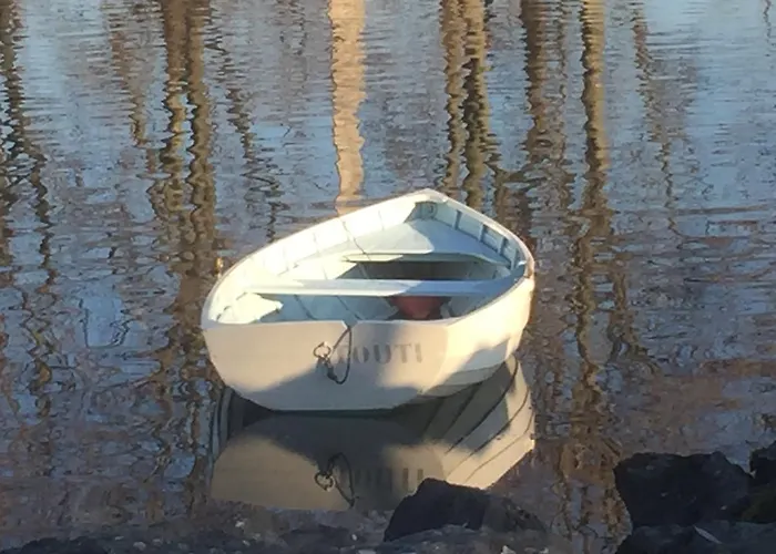 Bed & Breakfast D'hotes Wellingtonia Mont-sur-Rolle