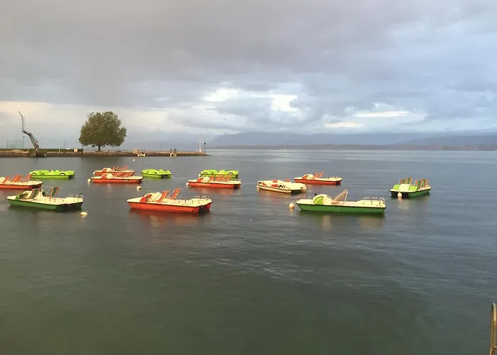 Bed & Breakfast D'hotes Wellingtonia Mont-sur-Rolle